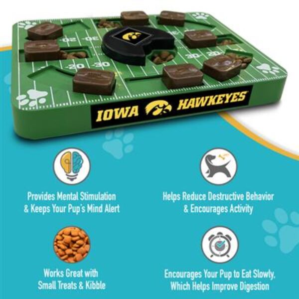 Iowa Puzzle Toy