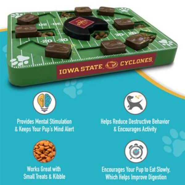 Iowa State Puzzle Toy