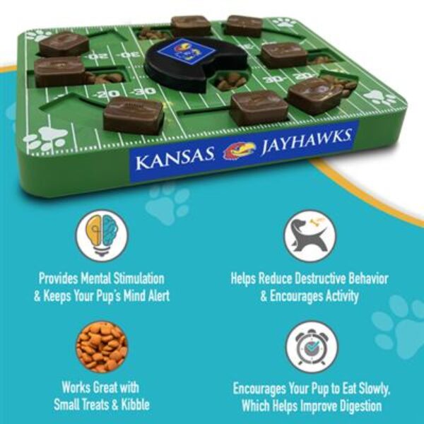 Kansas Puzzle Toy